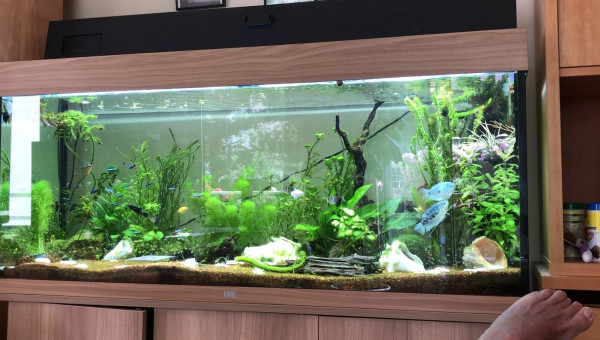 vue générale sept 2019