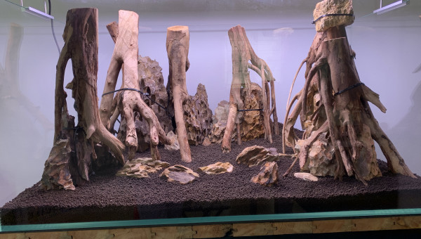 Hardscape terminé
