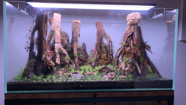 Plantations terminées !