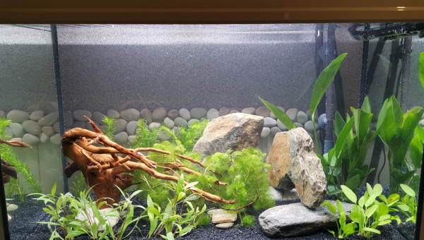 Mise en route et plantation