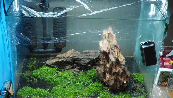 Pret pour 2semaines d'absence