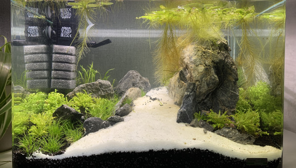 Cyclage en cours après un peu plus d’une semaine