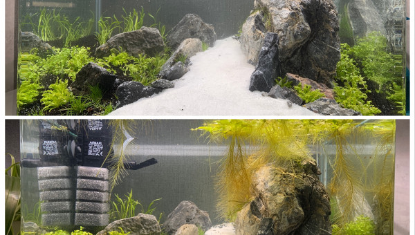 Cyclage en cours après un peu plus d’une semaine