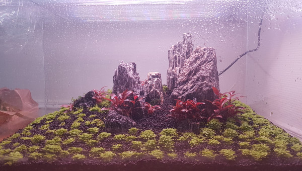 Après environ 1 mois de Dry start