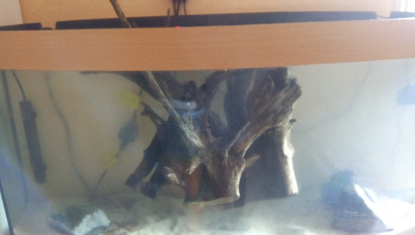 Mise en eau 300L Léo