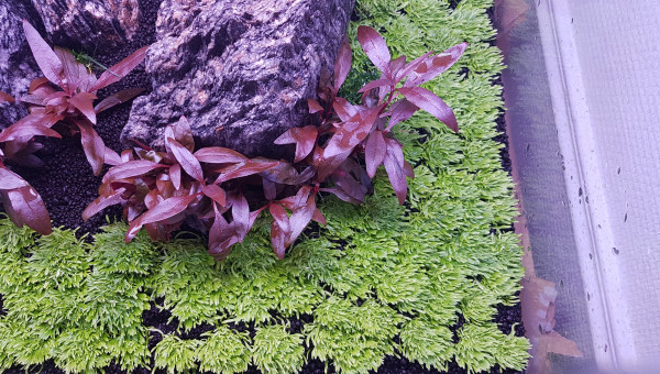 Après 2 mois de Dry start