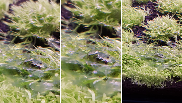 Après 3 mois de Dry start