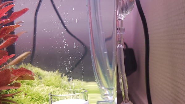 Mise en eau après 3 mois de DSM