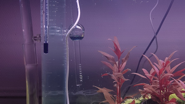 Mise en eau après 3 mois de DSM