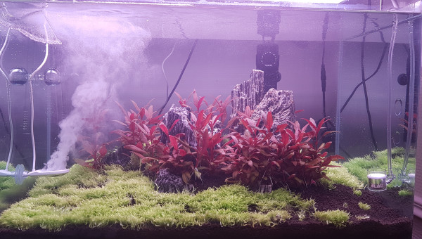 Mise en eau après 3 mois de DSM