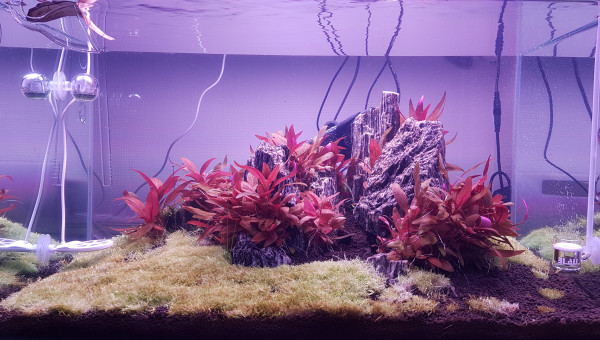 Une petite taille s'impose !