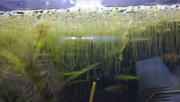 Une petite partie de cache-cache !