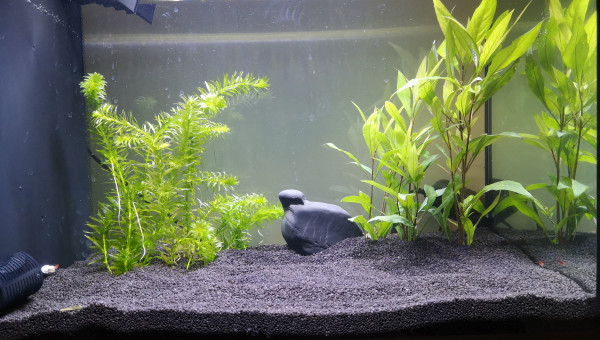 Fluval Spec 60L