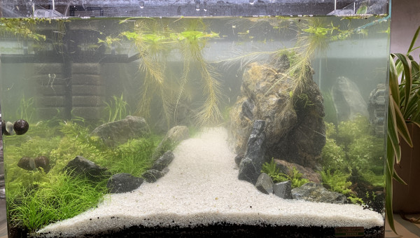 Changement du sable blanc