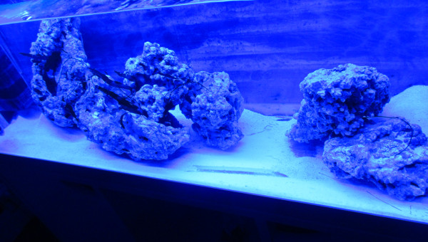 ...  en fin de soirée