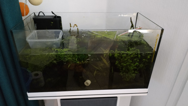 Changement d'eau partiel