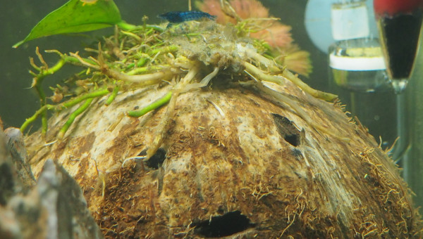 Toujours plus de photos