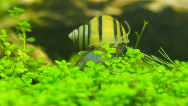 Toujours plus de photos