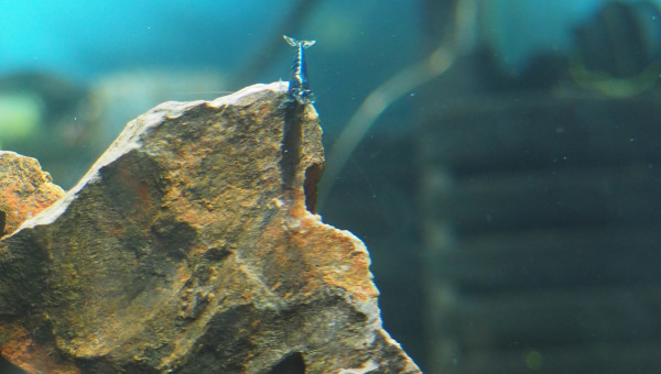 Toujours plus de photos