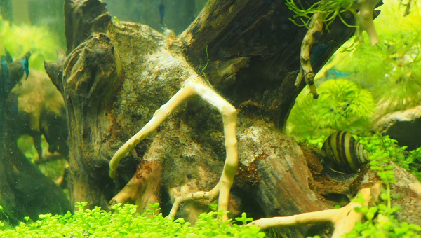 Toujours plus de photos