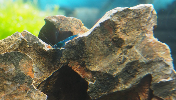 Toujours plus de photos