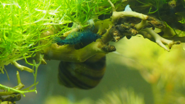 J'attends un heureux évènement :D