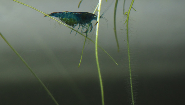 Madame prend la pose :D