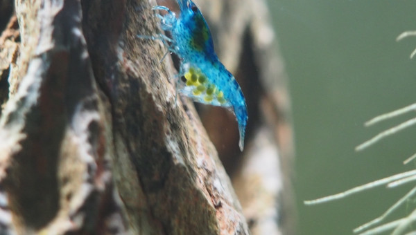 Madame prend la pose :D