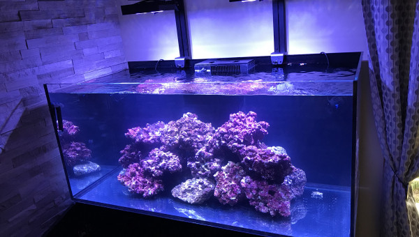 Mise en eau des pierres vivantes.