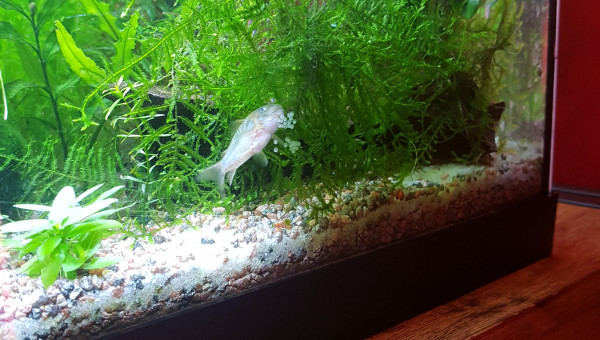 Et 4 jours plus tard... ça recommence...