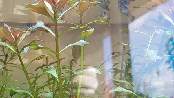 Un retour parmis la tribu