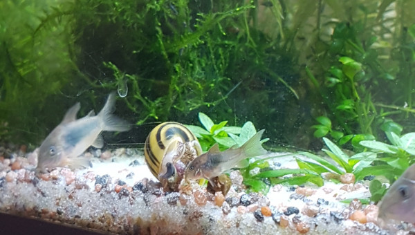 Le partage c'est important!