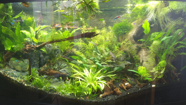 bac après 2 mois, des cryptos qui ont fondu au départ se refont une santé en surface