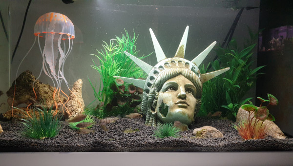 Les bébé grandisse