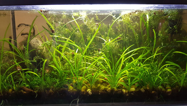 Mise à jours en confinement