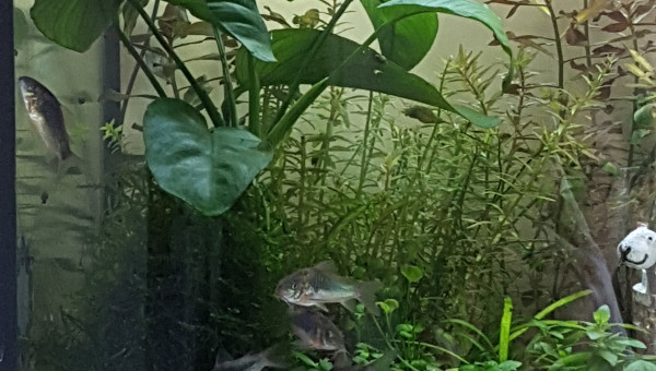 Ça danse et ça s'amuse !