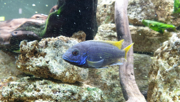 C'est l heure a table