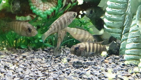 C'est l'heure de prendre des forces