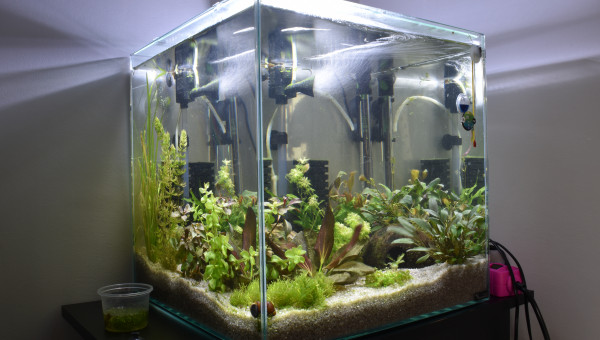 demain 30 eme jour !