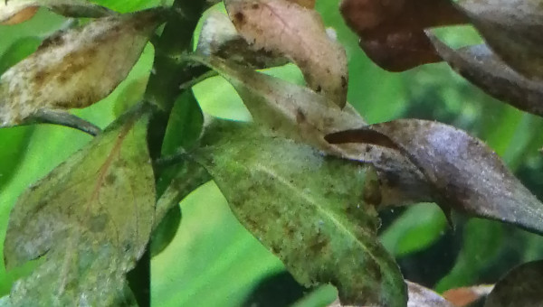 Petit nettoyage fait