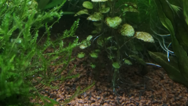 Petit nettoyage fait