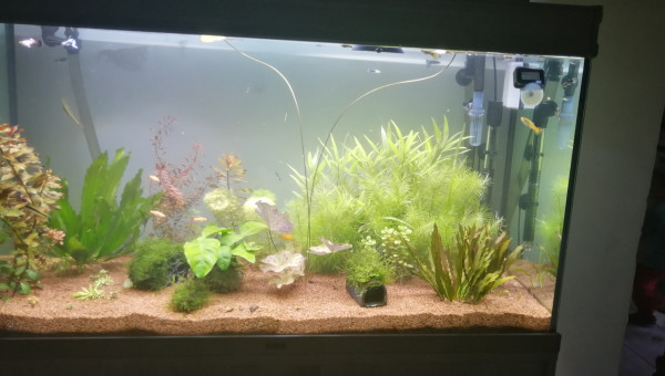 Petit nettoyage fait