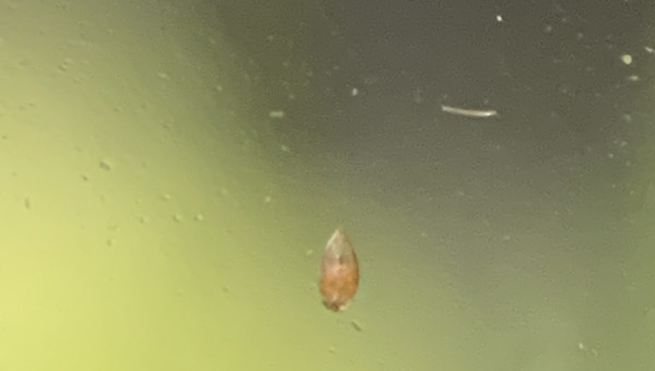 Y a de la vie là dedans ! ^^