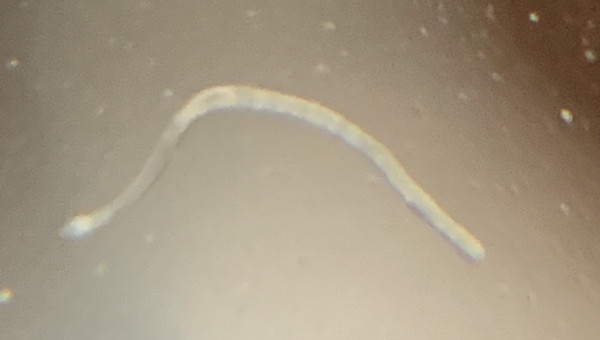 Y a de la vie là dedans ! ^^