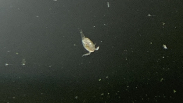 Y a de la vie là dedans ! ^^