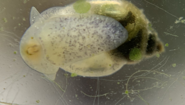 Heureuse découverte ! :)