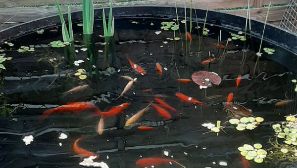 Ça se réveille doucement mais sûrement...