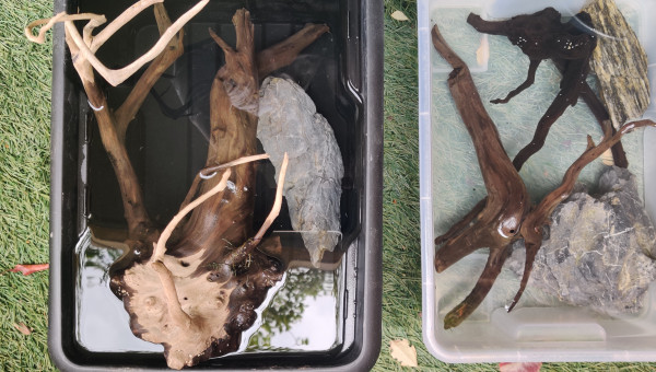 Nettoyage pierre et racine