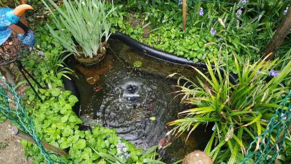 Bassin UBBINK CALMUS SII 220 L