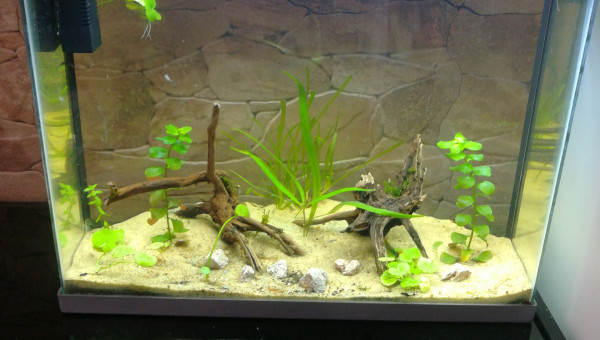 Changement d'éclairage